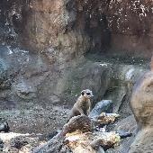 2021-06-17 ZOO Hodonn